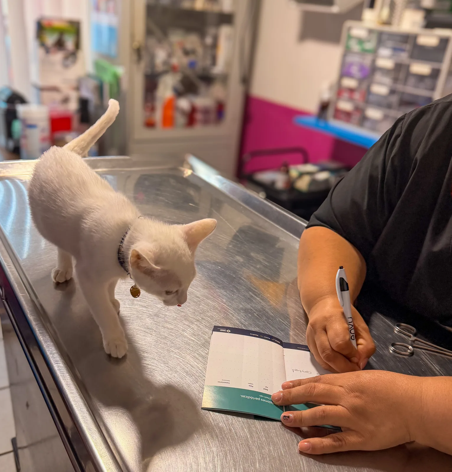Vacunación veterinaria en Clínica Ángel's